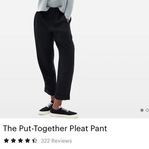Everlane Put Together Pleated Pant, sz 12